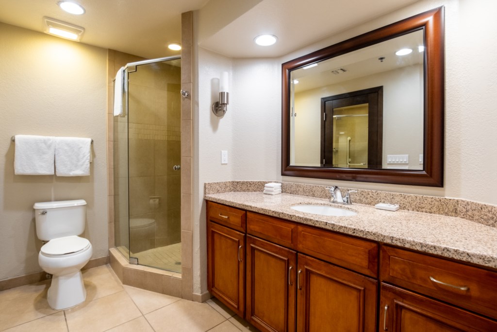 Marriott's Desert Springs Villas_14_master bath.jpg
