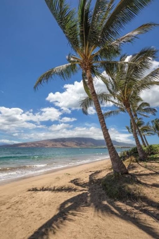 WorldMarkKihei_5