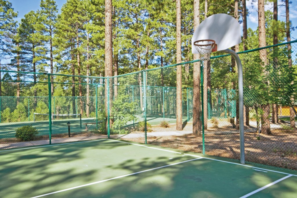 AZ_pinetop_basketball_court_106_S.jpg