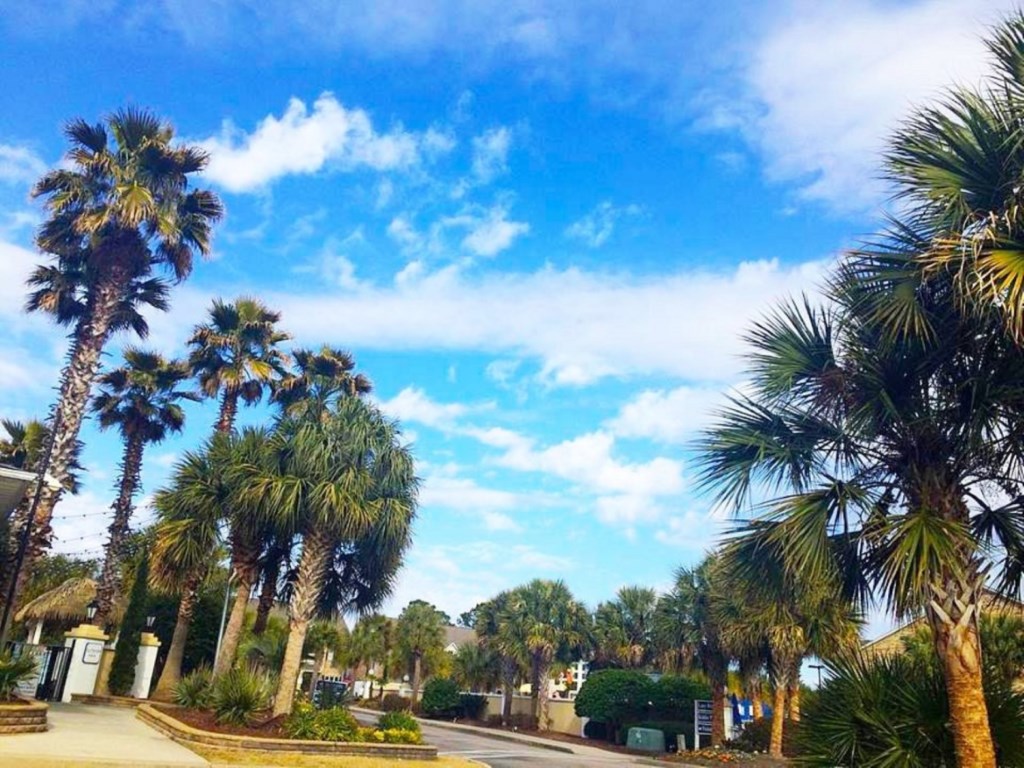 GrandPalmsResort_18