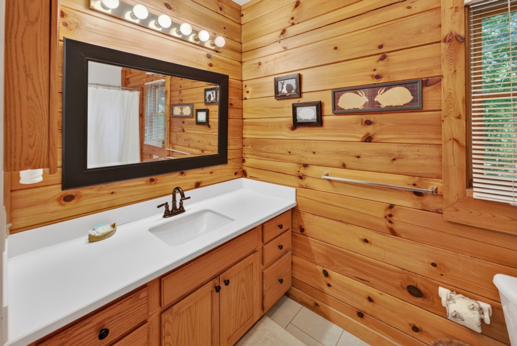 Rustic bathroom with wood paneling and modern vanity lighting.
