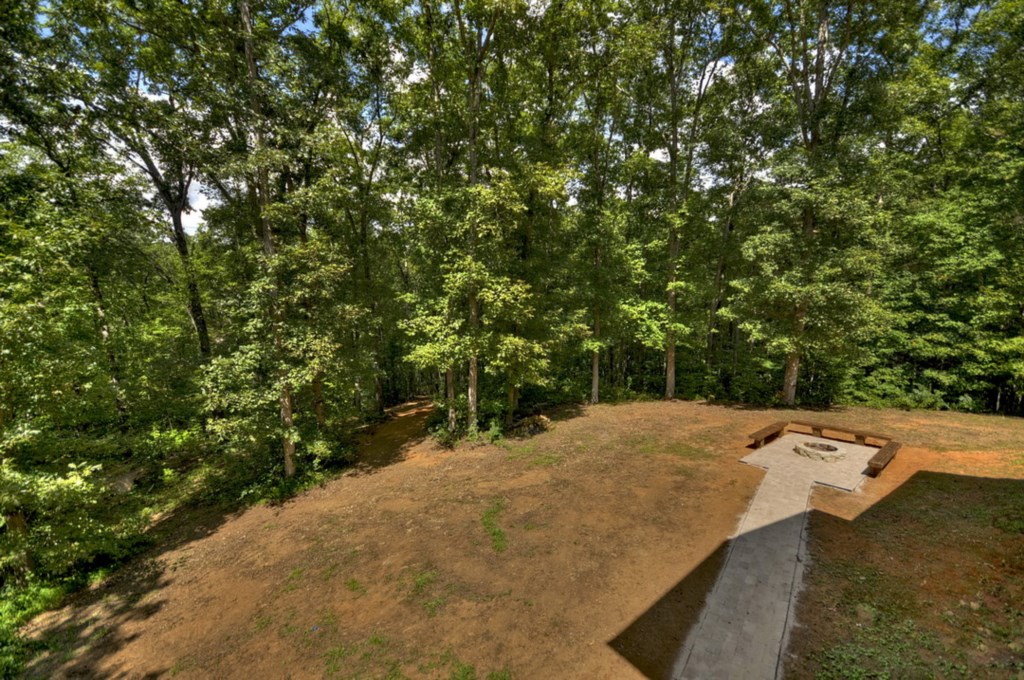 Spacious back yard with trail down to creek