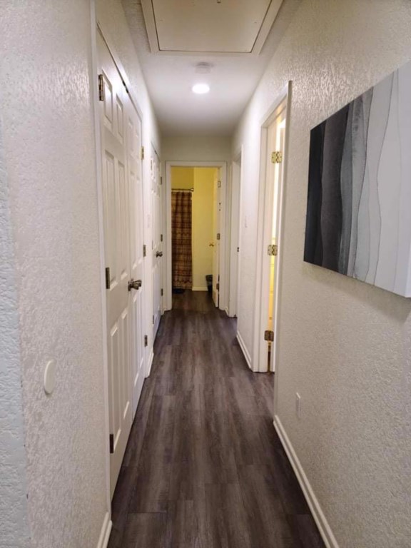 Hallway to Bedrooms on Main Level
