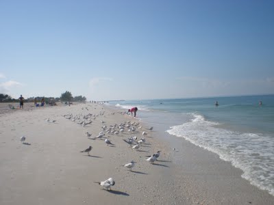 nokomis-beach-looking-south-to-Venice