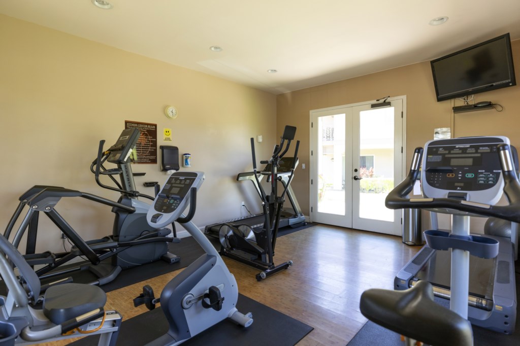 Modern fitness center with cardio machines and natural light.