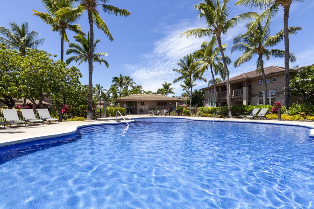 Relax by the tropical pool surrounded by lush gardens and palm trees.