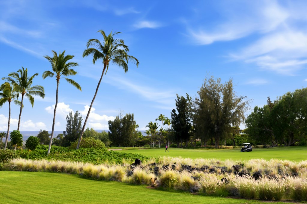 Scenic golf course views with lush greenery and palm trees for a relaxing outdoor experience.