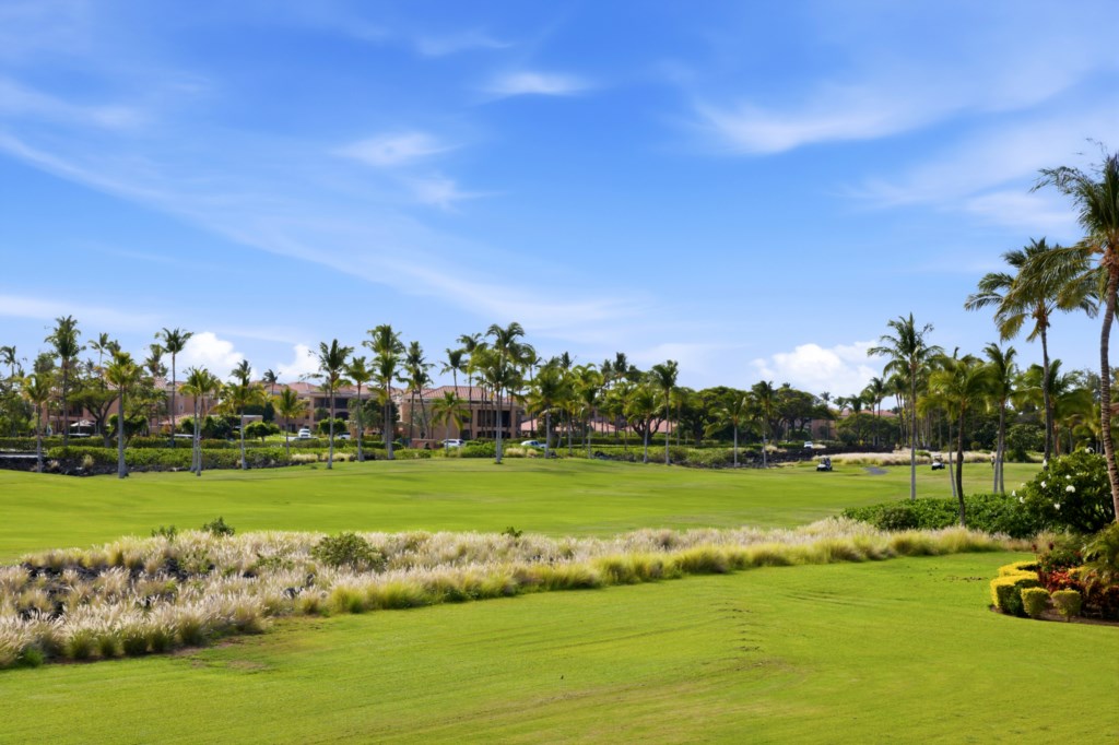 Scenic golf course view with lush greenery and palm trees, perfect for a relaxing day outdoors.