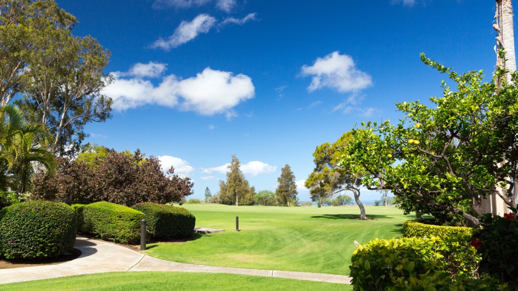 Beautiful Golf Course Views