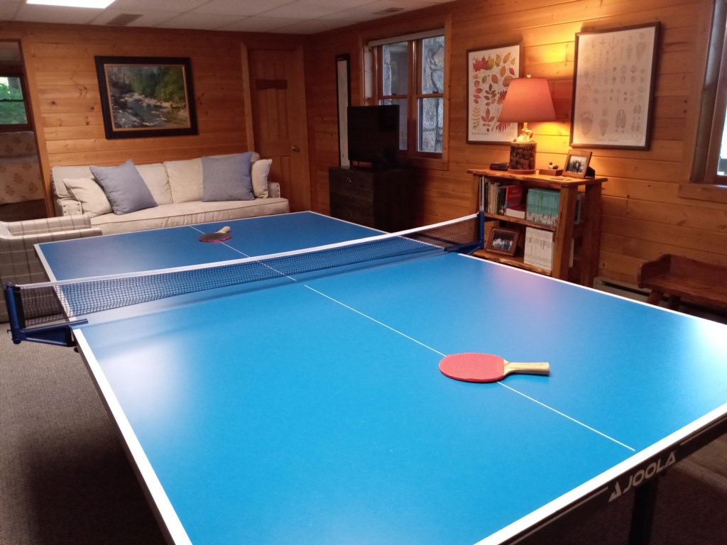 Pingpong2