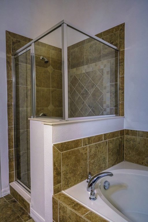 master bathroom tub & shower.jpg
