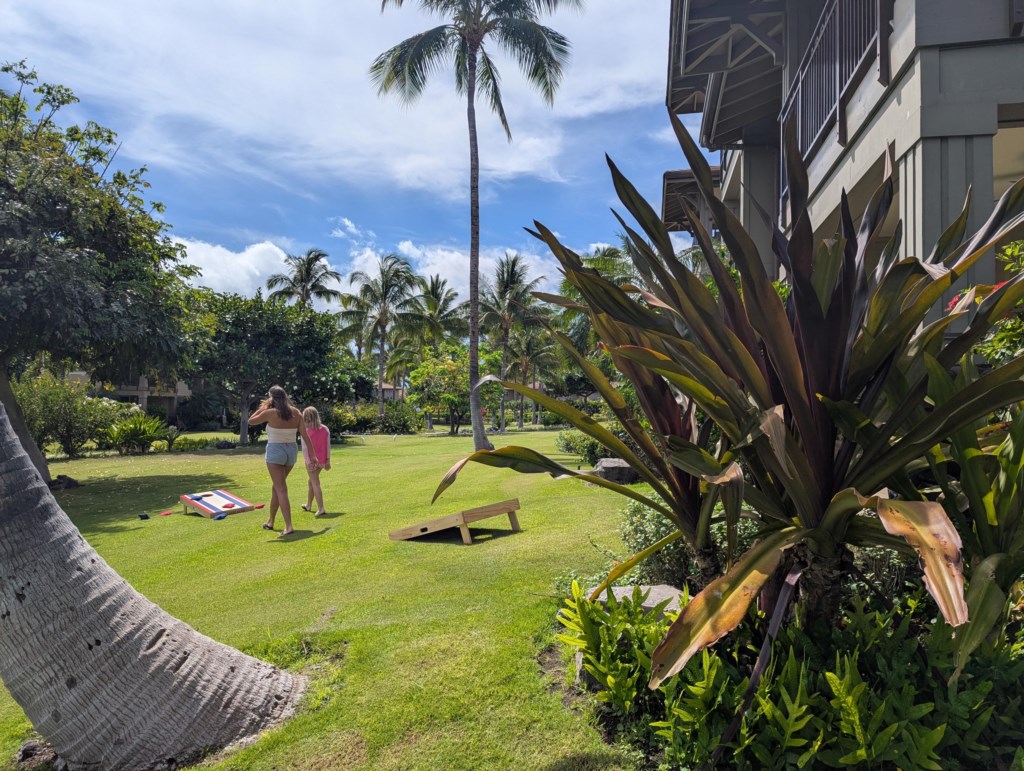 Tropical garden with cornhole game, perfect for outdoor fun and relaxation.