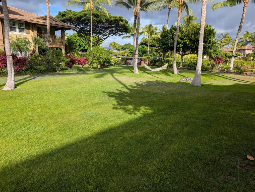 Relax in the lush garden with a hammock under swaying palm trees.
