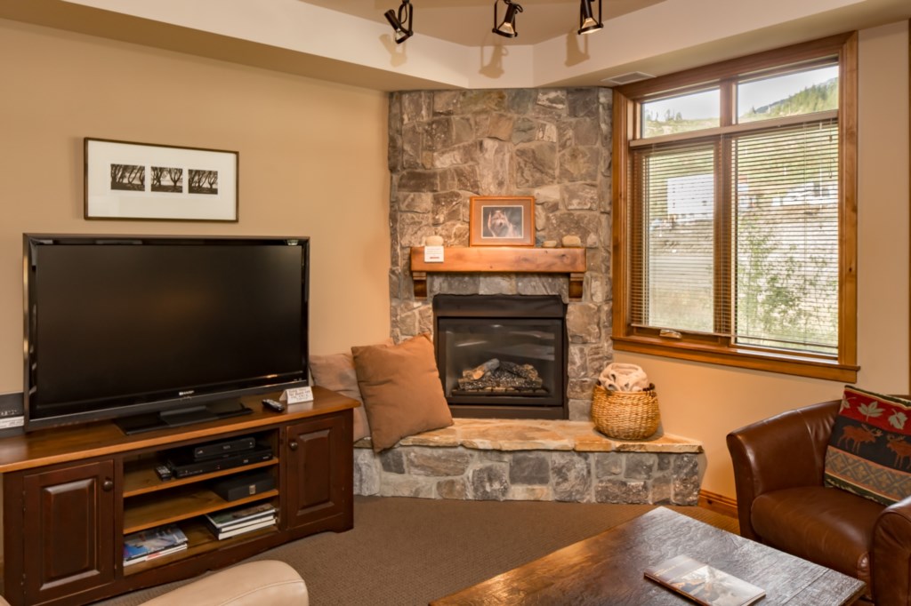 Living Area and Gas Fireplace