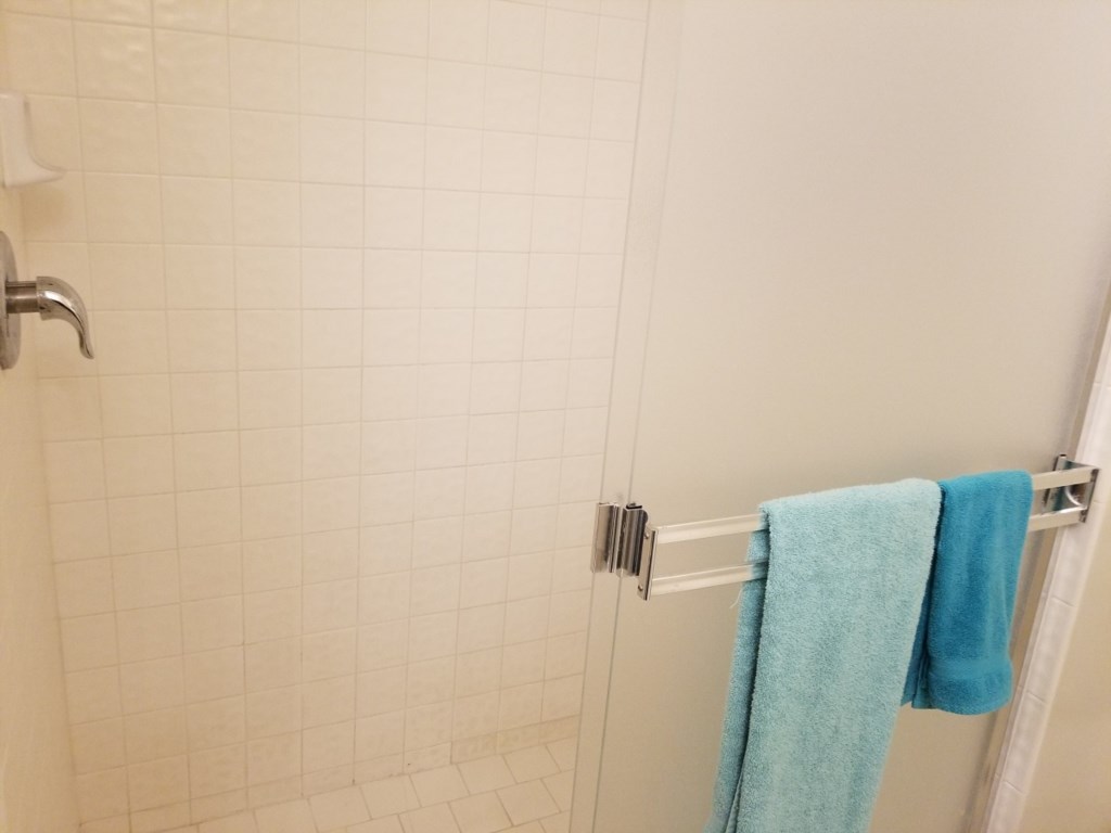Master Bath Walk-In Shower