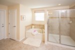 Master Bathroom View 2
