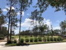 View of Golf Course