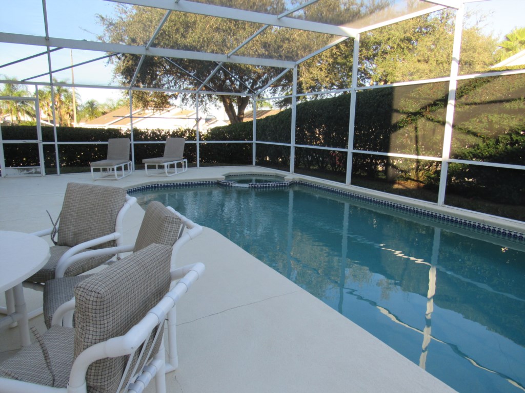 Pool/Patio With Privacy Hedging
