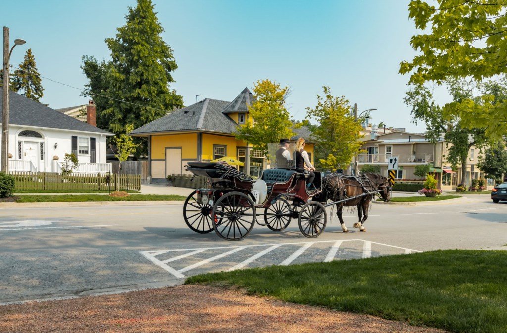 Horse and carriage - The White House - Niagara-on-the-Lake.jpg