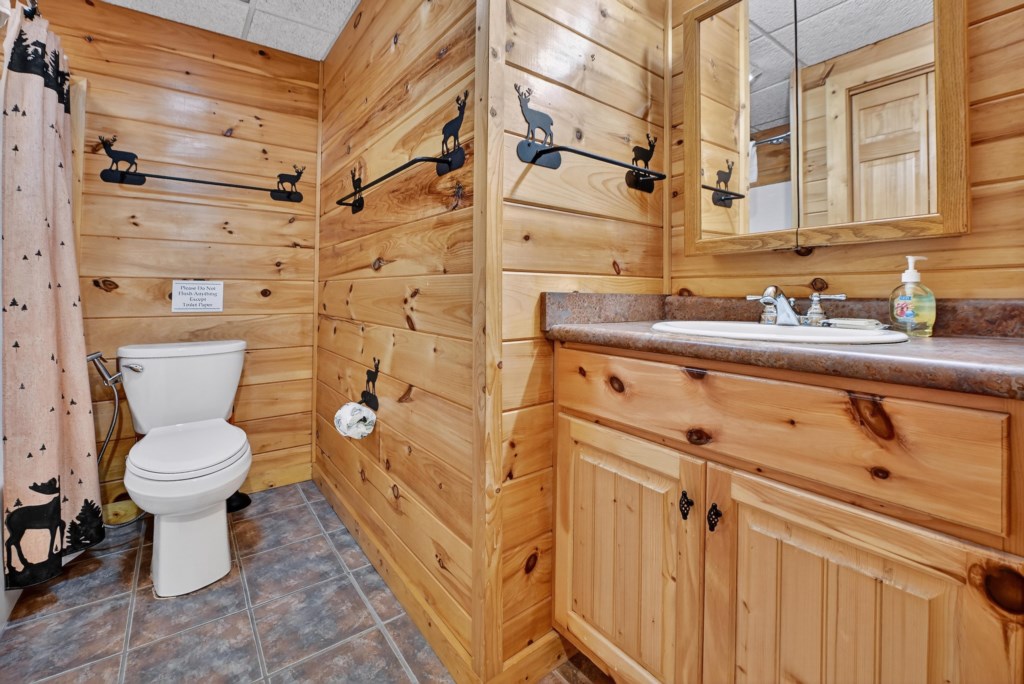 Terrace Level Bathroom