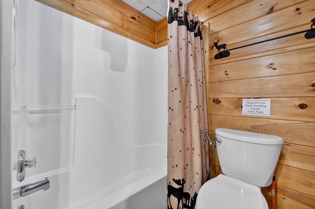 Terrace Level Bathroom