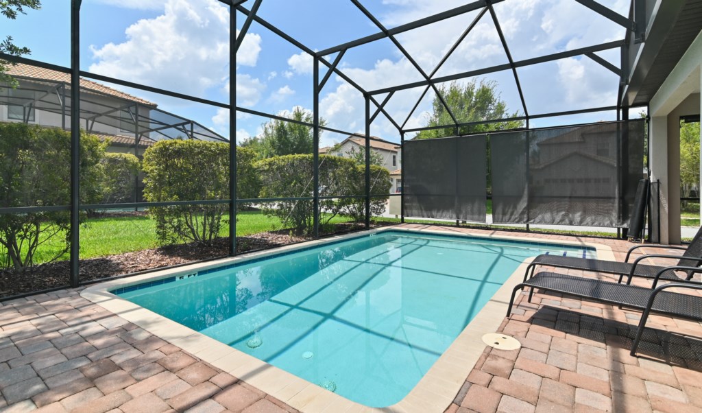 Pool With Privacy Screens