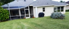 Back Yard.jpg