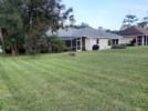 Backyard 2.jpg