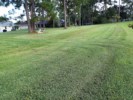 View of Backyard.jpg