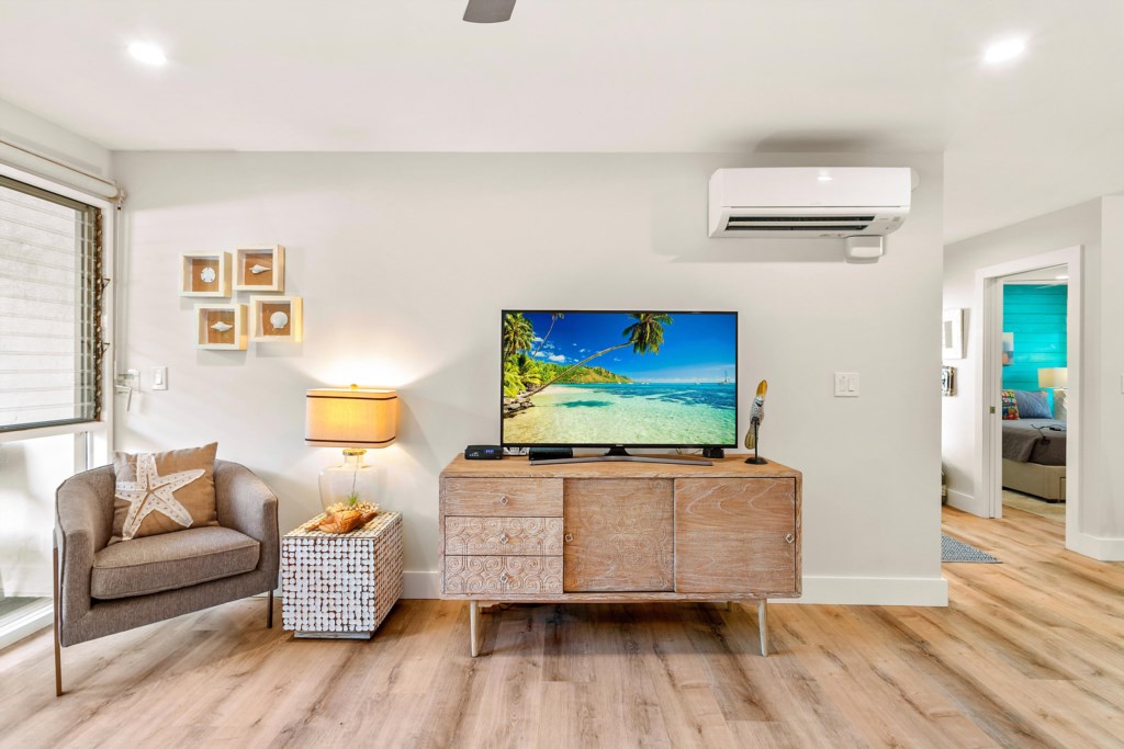 Living Room with TV and split AC