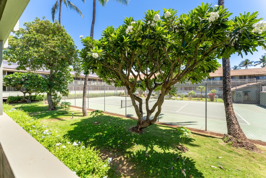 View from the lanai to Tennis Court