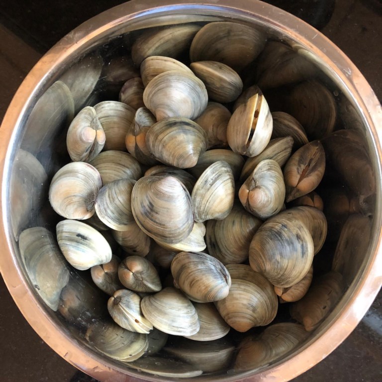 cape-charles-clams-chesapeake-bay