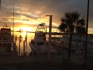 Check out local fishing charters