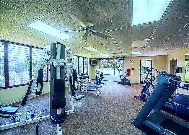 Well equipped home gym with a variety of machines and plenty of natural light.
