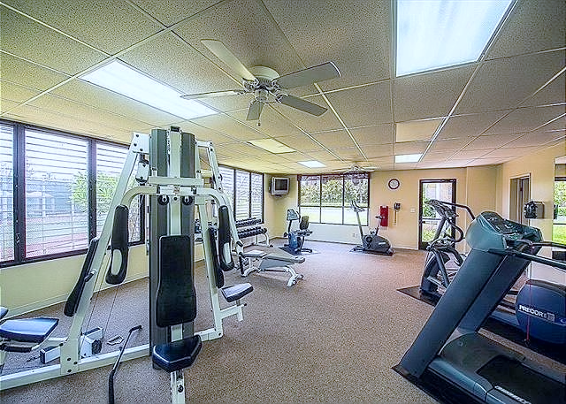 Fully equipped fitness room with cardio machines, weight stations, and sunny garden views.