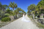 The driveway is lined with sabal palms leading from the Indian Pass Lagoon to the Gulf of Mexico...