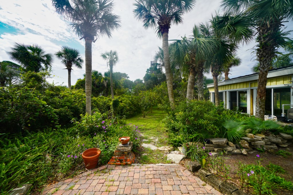 Large open lawn with mature landscaping; sabal palms, fruit trees, and ferns 