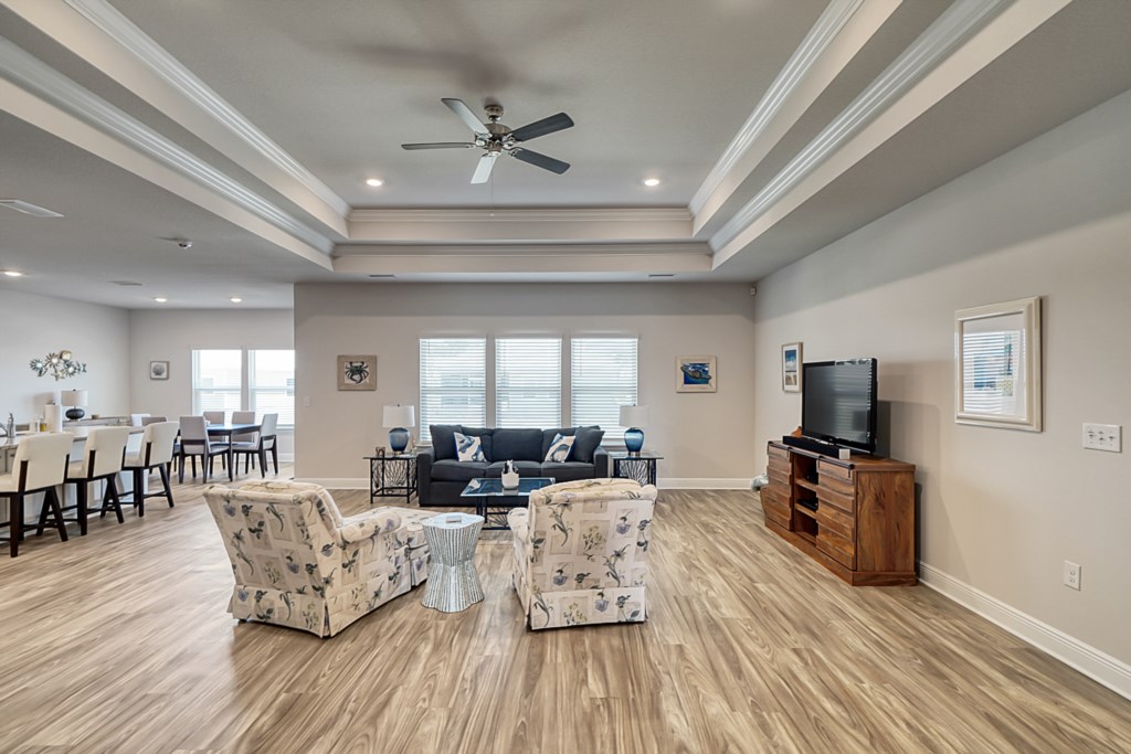 Open living room with decorative tray ceilings 