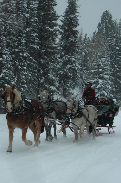 Sleigh Rides on the Boulevard and to the Redstone Castle
