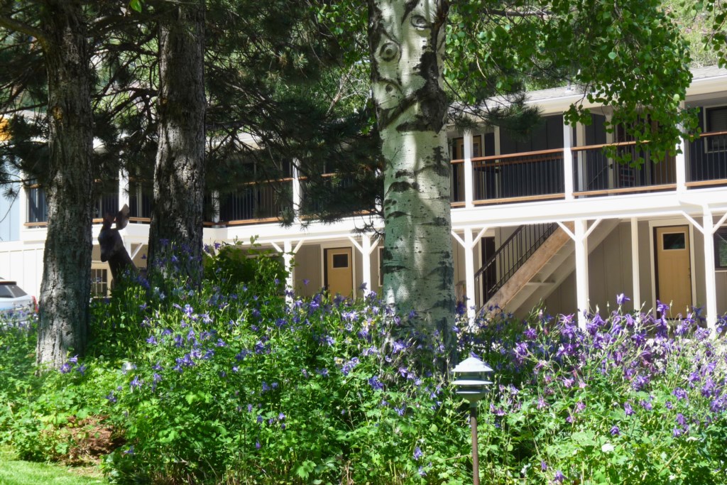 CrystalRiversOutsideProperty-3