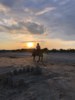 Two Horse Stables offers romantic horse rides on Cape San Blas Beach; ask us for more info