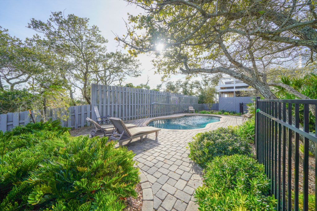 Private pool with large fenced lawn, fruit trees, and privacy fence 