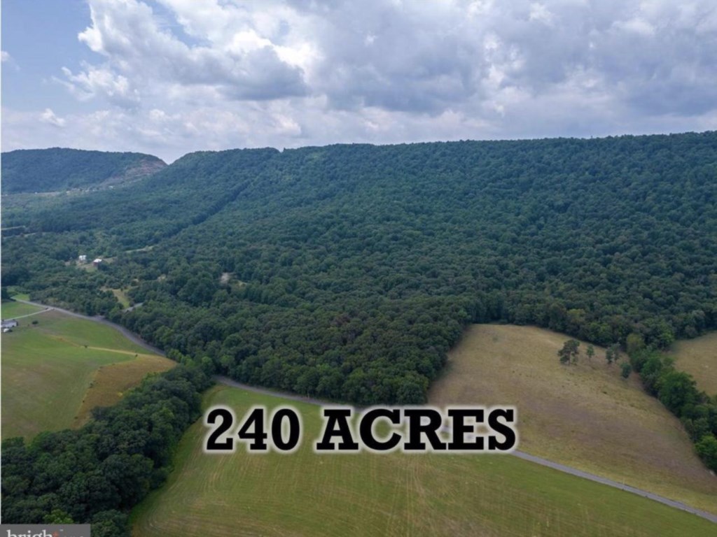 240 Acre Property! 