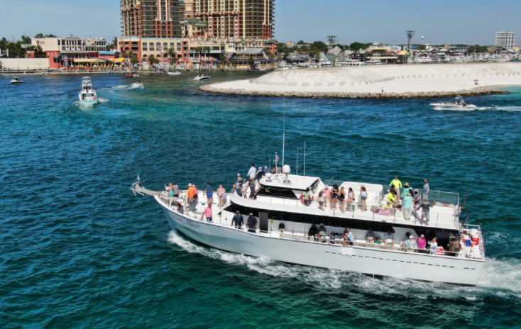 Visit Our Nearby Harbour and Book A Dolphin Cruise