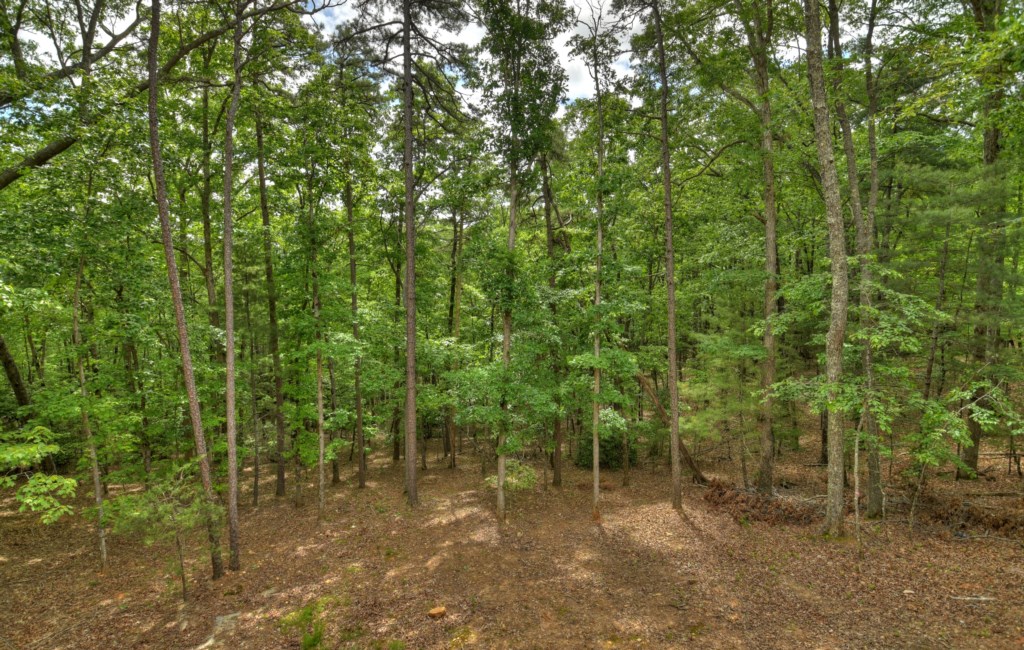 Lush Forested Lot