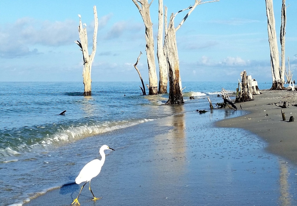Enjoy walking the secluded beaches inside Stump Pass State Park.