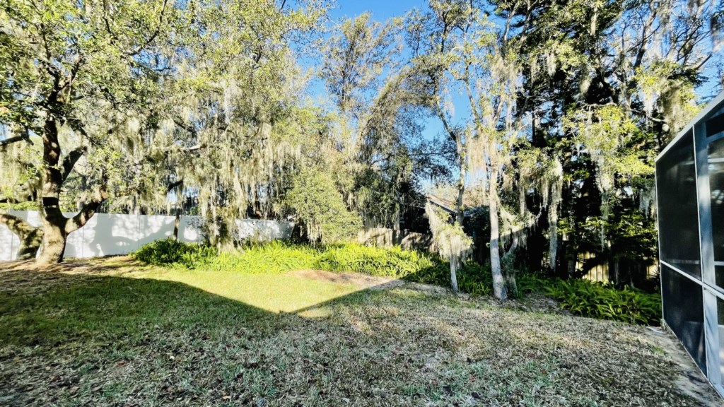 Oversized Lot with Wooded Surroundings