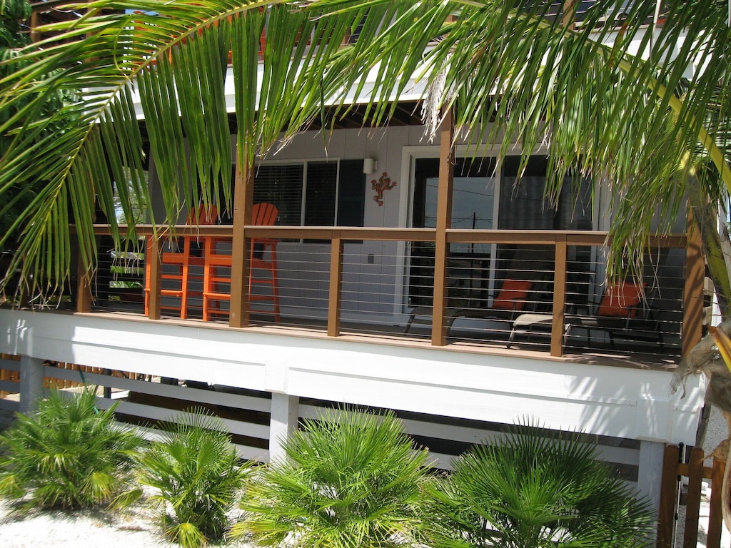 Your private deck with a cover of coconut trees. Take a coconut home with you!