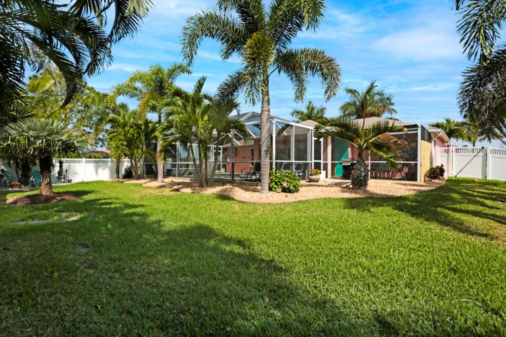 Lush backyard oasis with screened patio, perfect for relaxing in the shade of palm trees.