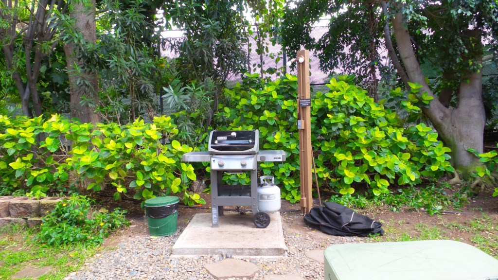 BBQ area just next to our unit, very convenient to grilling your favorite BBQ recipes